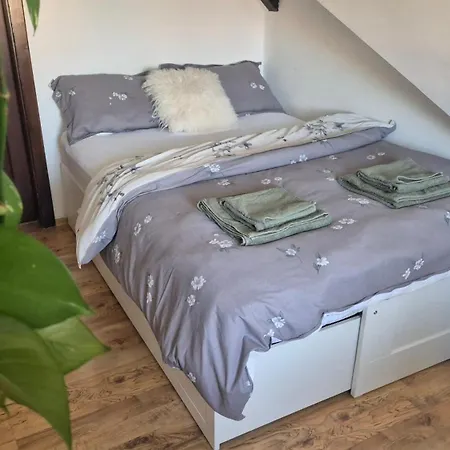 Apartma Stanovanje Magdalena